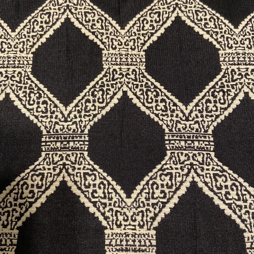Shower Curtain & 12 black rings